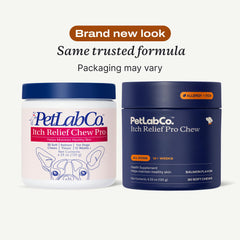 PetLab Co Salmon Itch Relief Chew in a dog bowl scene with salmon flavor.