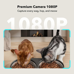 PETLIBRO feeder with night vision for clear 1080P footage in low light