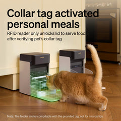 PETLIBRO RFID tag sensor highlights personalized meals ready for each cat.
