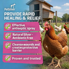 PetSilver Chicken Wound Spray on feet and legs supports skin care.