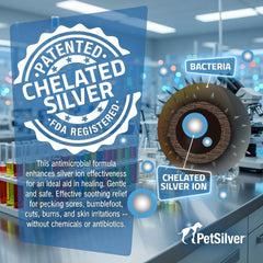 PetSilver Chicken Wound Spray applied to head and beak for targeted care.