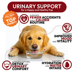 Petsology daily cranberry support dogs treats demonstrates convenient daily care.