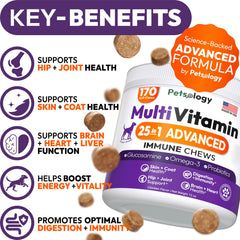 Petsology dog multivitamin chewables closeup highlights tasty daily treats