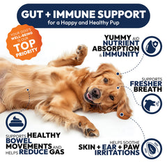 Petsology dog probiotics chews offered during a dog treat time.