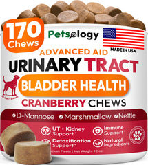 Petsology dog uti chews bottle shows daily urinary support for dogs.