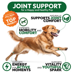 Petsology usa-made-facility label on packaging signals safety and quality