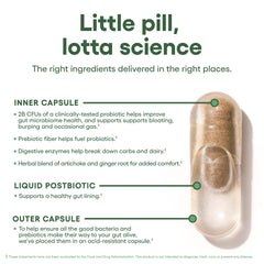 Physician's CHOICE herbal blend for gentle daily digestion after meals.
