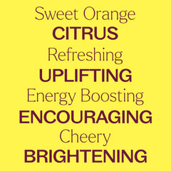 Plant Therapy Sweet Orange diffuser emits a bright citrus aroma for a lively space.