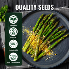 PLANTMEW asparagus spears close-up shows thick green harvest potential.