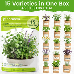PLANTMEW herb seeds collection showcases diverse varieties for year-round use.