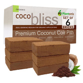 Plantonix Coco Coir Bricks before hydration for soil expansion