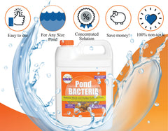 PondWorx Pond Bacteria enables a balanced aquatic ecosystem