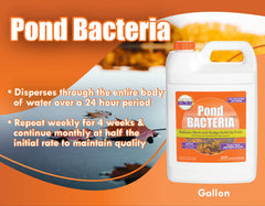 PondWorx Pond Bacteria for koi ponds supports safe, clear water
