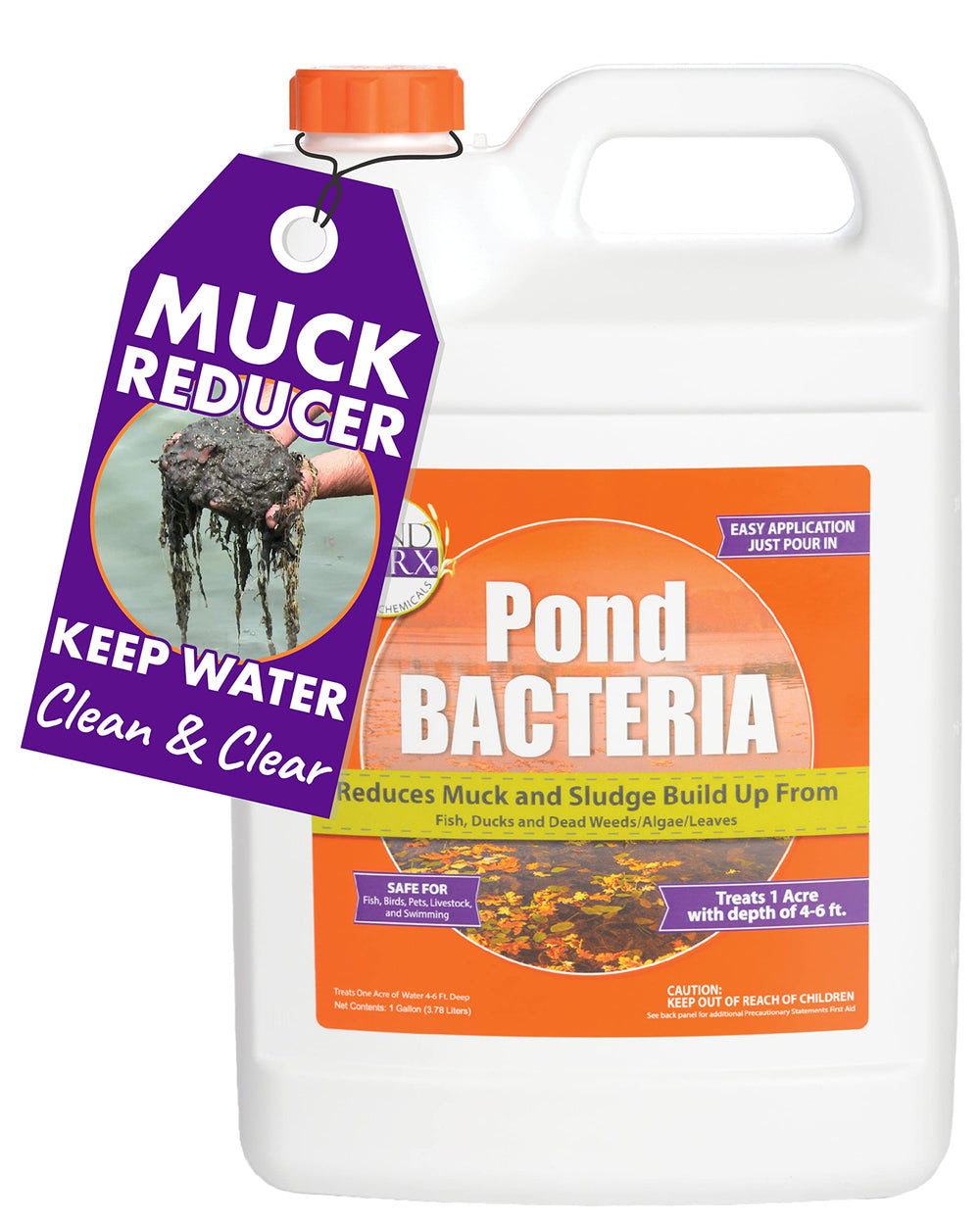 PondWorx Pond Bacteria pour on large ponds to boost water health