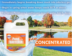 PondWorx Bacteria for water features balances pond ecosystems
