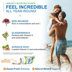Power By Naturals Sea Moss Plus capsules in hand for daily supplementation.