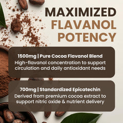 Powered X Plants 1500mg Cocoa Flavanols label emphasizing potency per dose