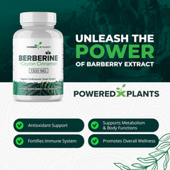 POWERED X PLANTS berberine-cinnamon blend capsules for immune support.