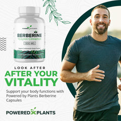 Close-up of POWERED X PLANTS berberine capsules highlighting potency for metabolism support.
