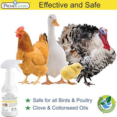 Premo Guard applied on chickens to manage mites and lice naturally.