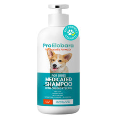 ProElobara medicated dog shampoo bottle pour for easy, controlled application.