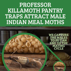 Professor Killamoth traps on pantry shelf demonstrate continuous protection for cereals and grains.