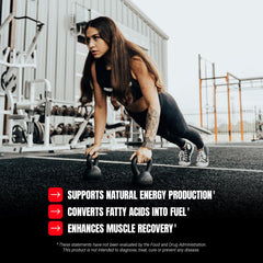 ProSupps L-Carnitine Liquid 1500 berry glass showcasing sugar-free energy support.