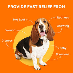 PUAINTA spray applied to a pet emphasizes daily use.