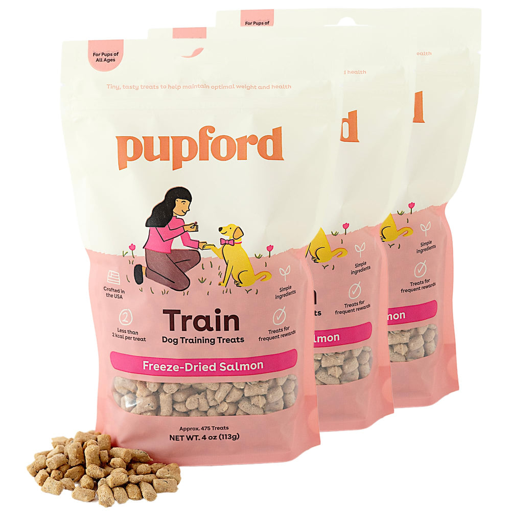 Pupford freeze-dried salmon treats in a 4oz pack, ideal for quick training rewards.