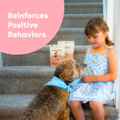 Pupford small-bite training treats ideal for quick rewards during workouts.