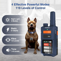 PUPKIDS dual dog training system with two channels on a single remote.