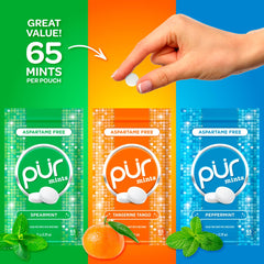 Pur Mints resealable pouch closeup emphasizes convenience and freshness