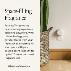 Pura refill vial being inserted for effortless fragrance swaps.