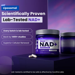 Closeup of capsules showing liposomal NAD+ delivery for better absorption.