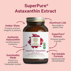 Sunflower lecithin visual emphasizing absorption-boosting ingredients in Pure Synergy.