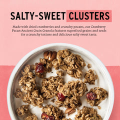Close-up of toasted oats and cranberries in granola.