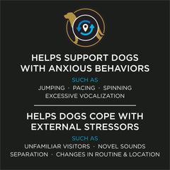 Purina Calming Care probiotic packets arranged for easy daily serving.
