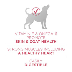 Purina ONE antioxydants variés pour le système immunitaire du chien