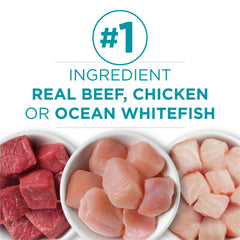 Purina ONE ocean whitefish recipe can for balanced protein