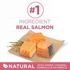Purina ONE saumon peau et pelage sains grâce aux oméga-6