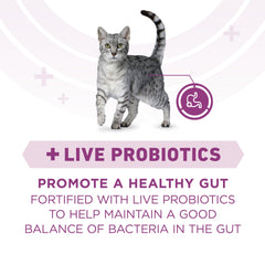 Purina ONE Plus probiotiques chat — soutien potentiel à la digestion