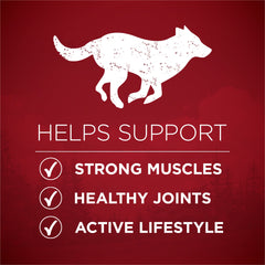 Purina ONE True Instinct real beef first ingredient signals quality and flavor