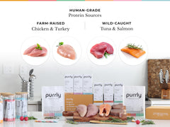 Purrly creamy puree texture showcasing smooth squeezable consistency