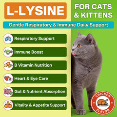 Puyrzoe Lysine Drops dropper dispensing drops into cat food.