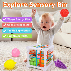 Qirptey shape sorter toy enables tactile exploration and fine motor practice.