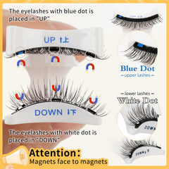 QUEWEL magnetic eyelash box with mirror provides on-the-go grooming.