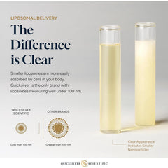 Quicksilver Scientific Methyl B Complex liposome delivery microvesicles illustrating rapid absorption.