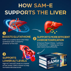 Quorinthiumax SAM-e 500mg blister pack preserves freshness and portability.