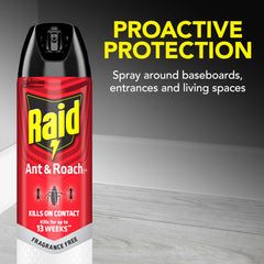 Raid Ant and Roach Killer application on surfaces easy home pest treatment