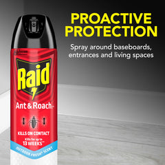 Raid Ant & Roach Killer on cabinet edge for targeted elimination.